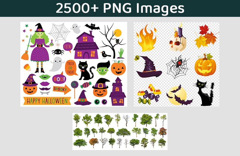 12 PNG Images